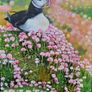 Puffin and Sea Pinks | oil painting | framed Image 9
