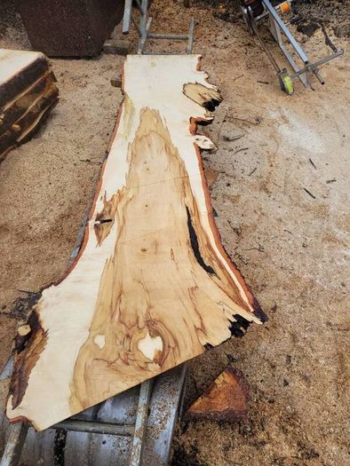 Hardwood timber