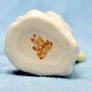 NEW Vintage Belleek Undine Mermaid Creamer Parian China Image 5
