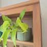 Beautiful Hemnes bookcase (discontinued) Image 3