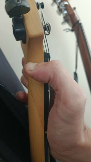 Guitar Parker P42