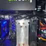 Intel i7-4770 + Motherboard + RAM Bundle (Working Perfect) Image 2