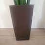 Sansevieria Cylindrica planter Image 2