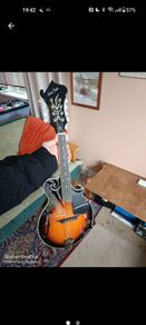 Harley Benton Mandolin