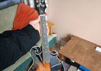Harley Benton Mandolin