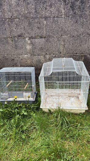 birds cages/canary