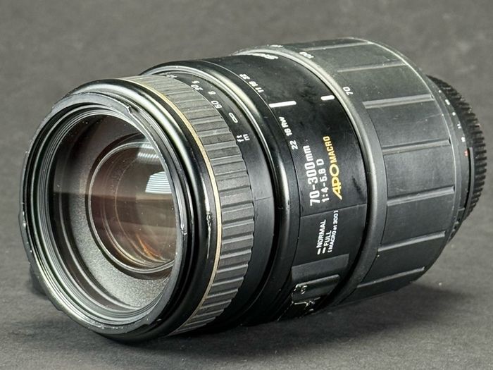 Nikon F Sigma Apo 70-300mm F4-5.6 D Apo Macro