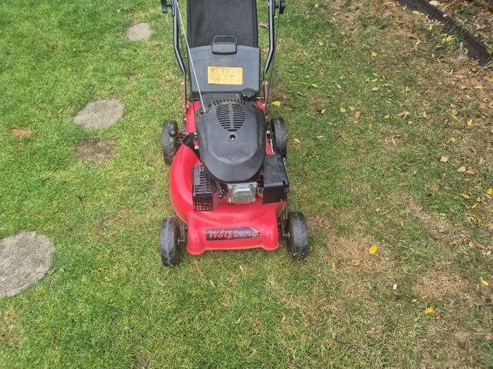 Wolfberg petrol push lawnmower