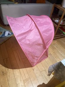 Bed tent