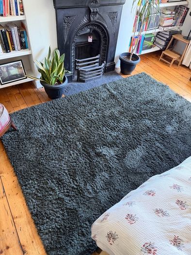IKEA green rug - Vindebak