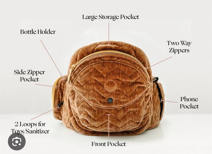 Tushbaby hip carrier