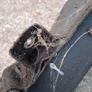Mk1 Toyota Mr2 front cash bar. Image 6