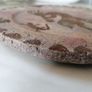 Wall Plaque / Plate Image 2
