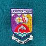 Castletroy College Jumper Image 5