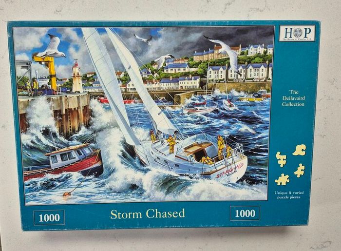The House of Puzzles 1000 pieces
