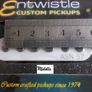 Entwistle ASN 57 Noiseless Stratocaster Pickup (Bridge) Image 4
