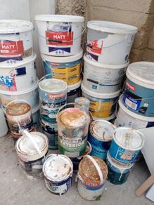 Old Paint