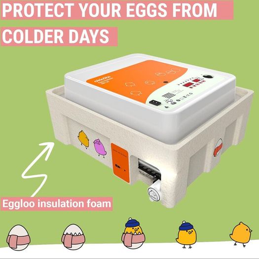 Automatic Egg Incubator 9/15/24/36 Eggs  Intelligent Temperature Control:PICK UP AVAILABLE