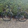 Trek FX1 Image 6