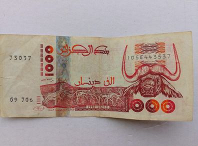 Algerian Banknote