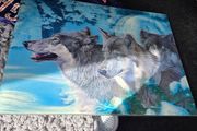 Wolves Picture