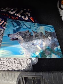 Wolves Picture