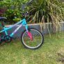 Avery 20" Child's Bike Image 7