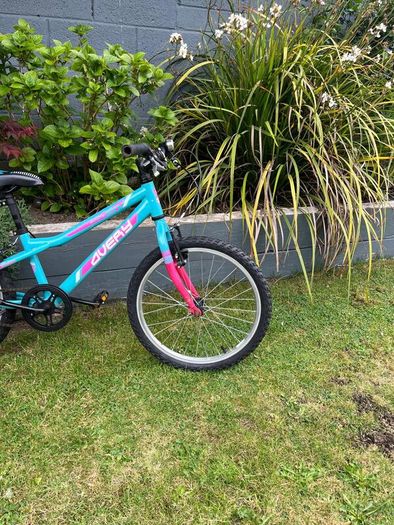 Avery 20" Child's Bike