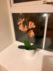 Artificial orchid