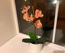 Artificial orchid