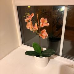 Artificial orchid