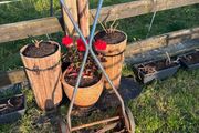 Vintage Folbate push lawnmower
