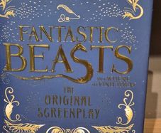 Fantastic Beast book