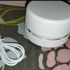 portable vacuum