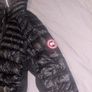canada goose Image 2