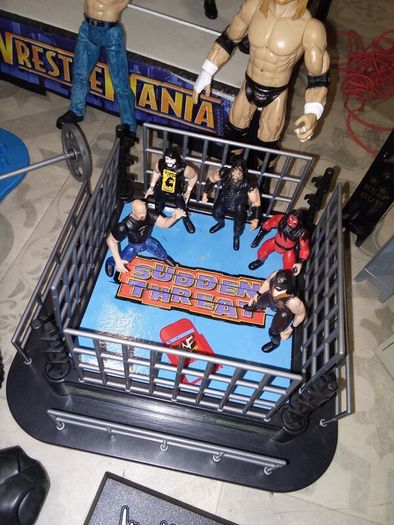 wrestlers