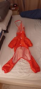 Dog raincoat
