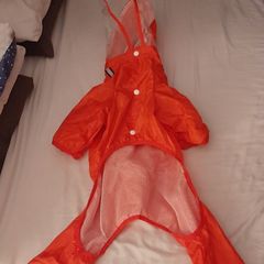 Dog raincoat