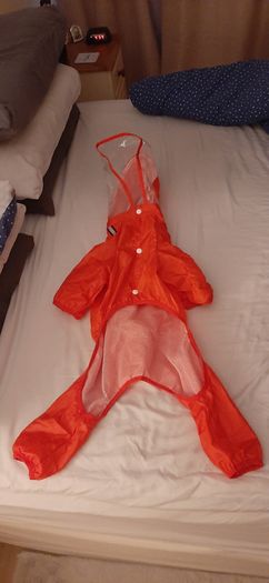 Dog raincoat