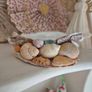 Hand crafted Oyster shell salt crock Image 10