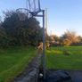 Basket ball stand & Hoop Image 2