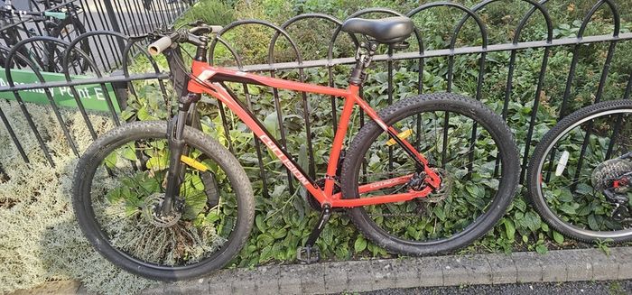 Cyclision Corph 7 Thunder Gold Mountain