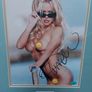 Pamela Anderson Autographed 10x8 Photo Framed with Certificate of Authenticity (COA) Image 4