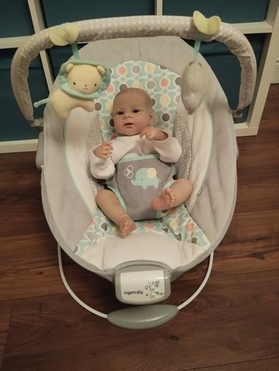 Baby Bouncer