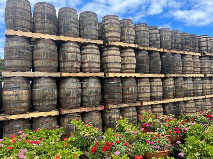 Excellent quality barrels- delivery available