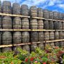 Excellent quality barrels- delivery available Image 2