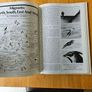 The Irish Wildlife Book. Edited By Fergus O'gorman. Illustrated By Gerrit Van Gelderen, Eamon De Buitlear And Richard Mills. First Edition Large Volume Hardback In Good Condition. Image 7