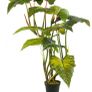 Artificial Plant Image 3