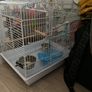 Bird cage Image 3