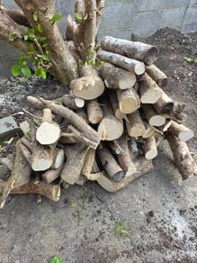 Wood Logs